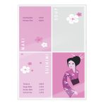 Leitz STANDARD meleglamináló-fólia UDT, A4, 250 mikron, 100db/cs