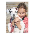 Leitz STANDARD meleglamináló-fólia UDT, A3, 80 mikron A3, 100db/cs