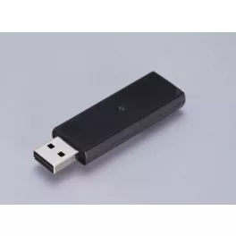 Wireless LAN Interface-P1 (5GHz)
