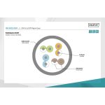 DIGITUS DK-1612-010 Cat.6 U/UTP PVC 1m szürke patch kábel