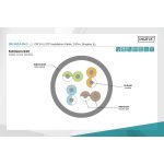 DIGITUS DK-1613-VH-1 Cat.6 U/UTP LSZH 250MHz Eca 100m lila fali kábel