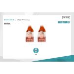 DIGITUS DK-1644-010/R Cat.6 S/FTP LSZH 1m piros patch kábel