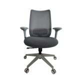Aarven, Szürke, 4D kartámlás, deréktámaszos, Irodai forgószék