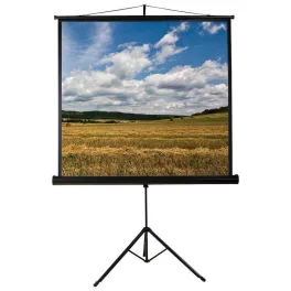   Funscreen Tripod hordozható vetítővászon, 1:1, 240x240 cm